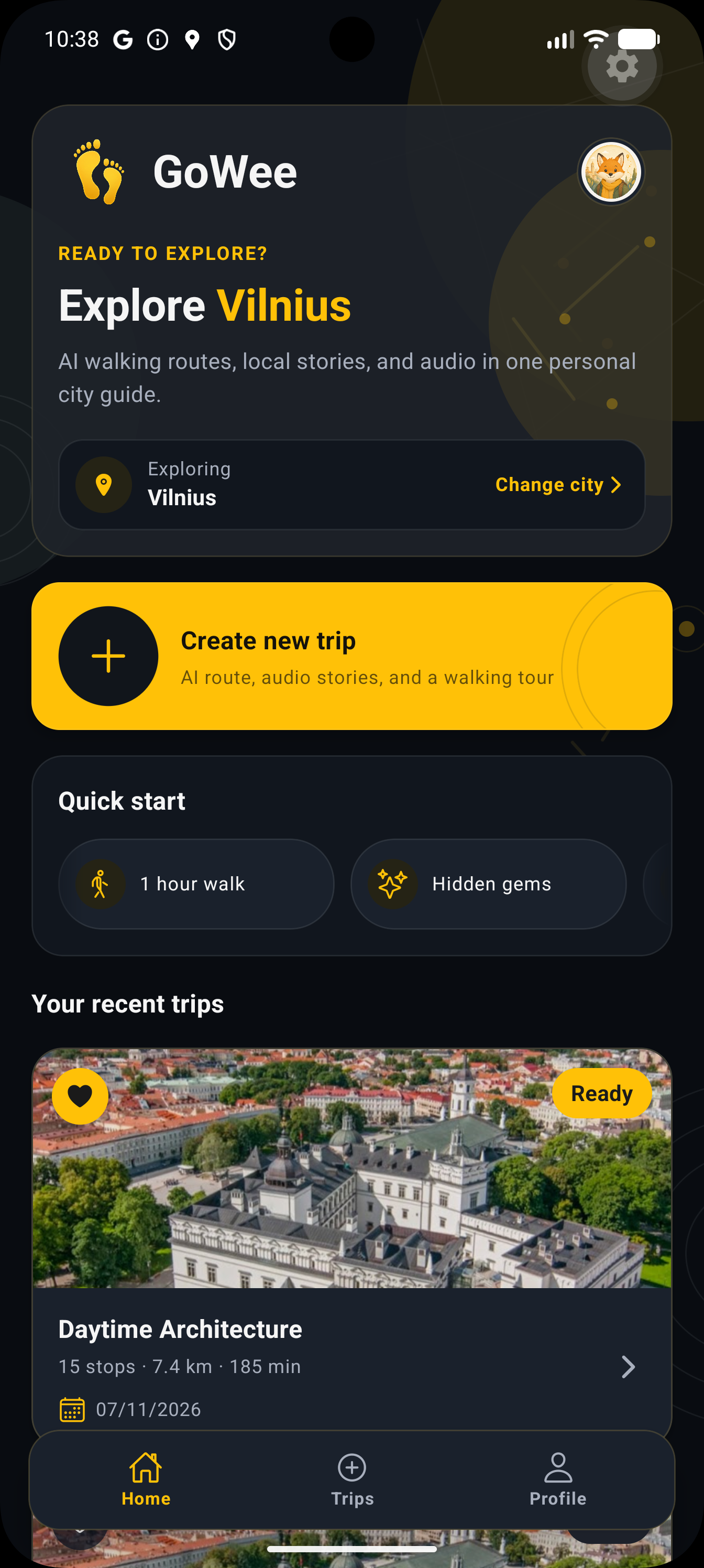 GoWee home screen for Vilnius.